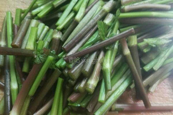 野芹菜炒牛肉的做法图解4