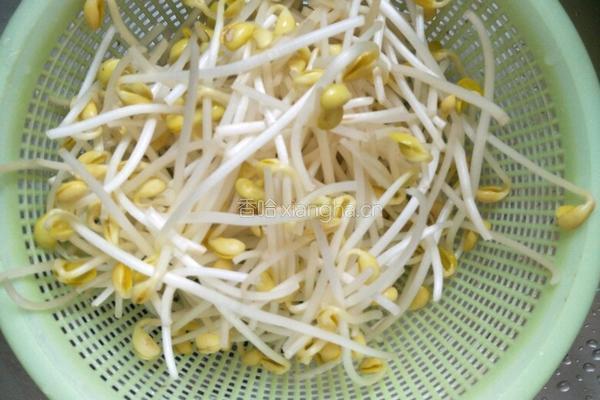 黄豆芽煎豆腐的做法图解1