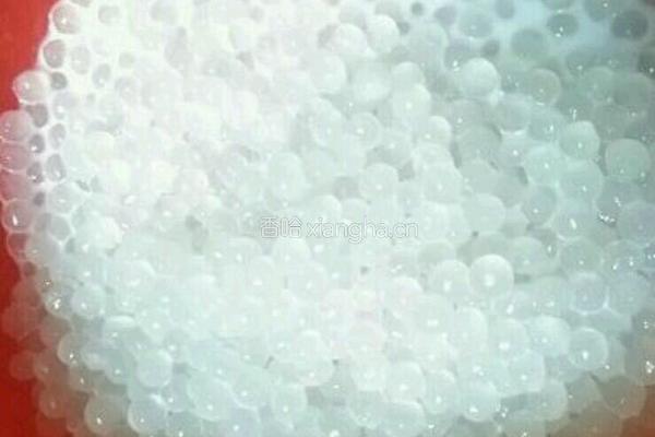 火龙芒果椰汁西米露的做法图解2
