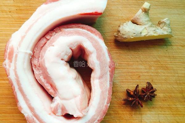 红烧肉（简易版）的做法图解1