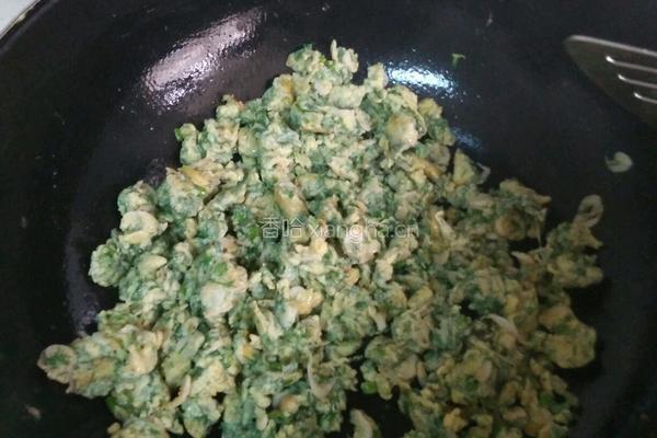 茴香鸡蛋春卷的做法图解6
