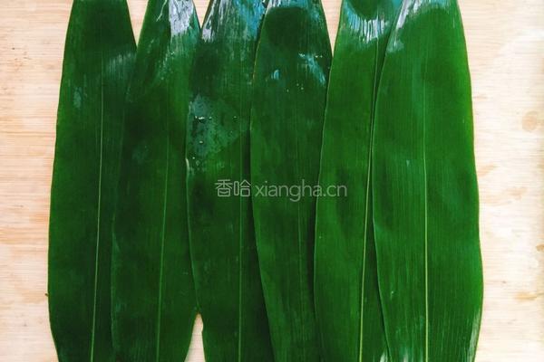 粽叶糯米排骨的做法图解4