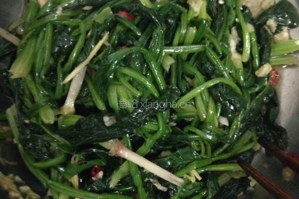 凉拌菠菜的做法图解5