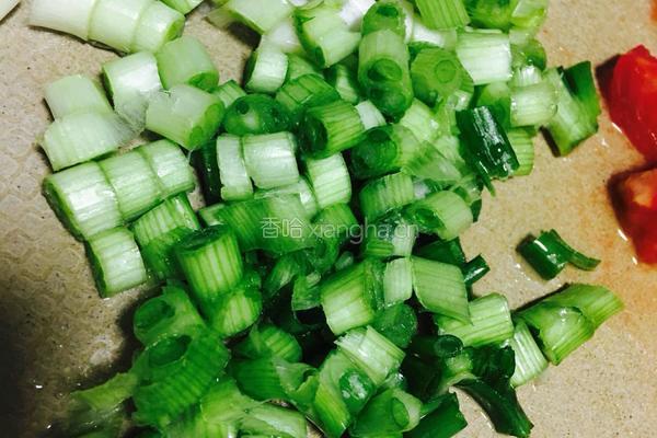 葱香茄汁焖鲈鱼的做法图解8