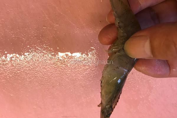 肉糜蒜蓉粉丝蒸虾的做法图解1