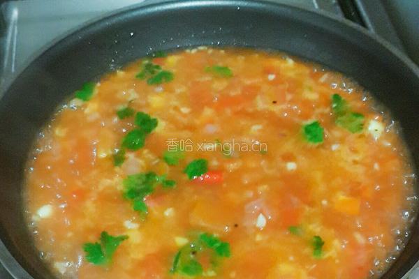 南美风味墨西哥玉米片番茄辣椒酱dorito salsa的做法图解6