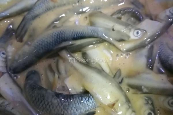 香酥小鱼的做法图解4