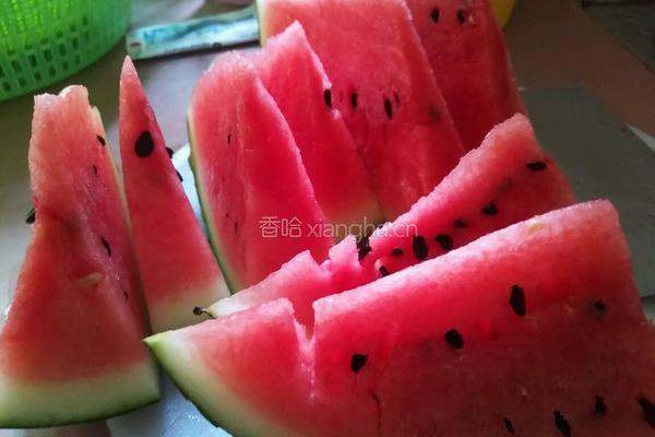悠闲自制西瓜汁的做法图解1