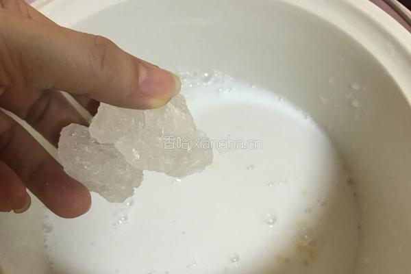 雪耳椰汁羹的做法图解4