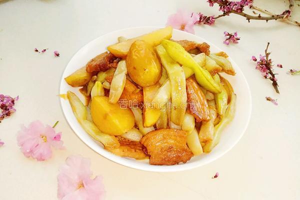 土豆扁豆炖肉的做法图解9