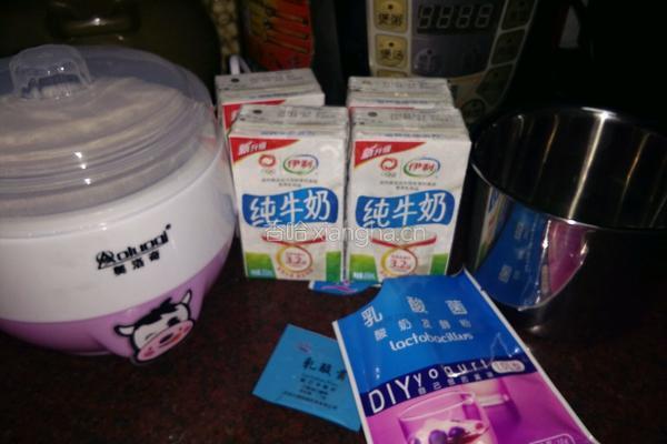 自做酸奶的做法图解1