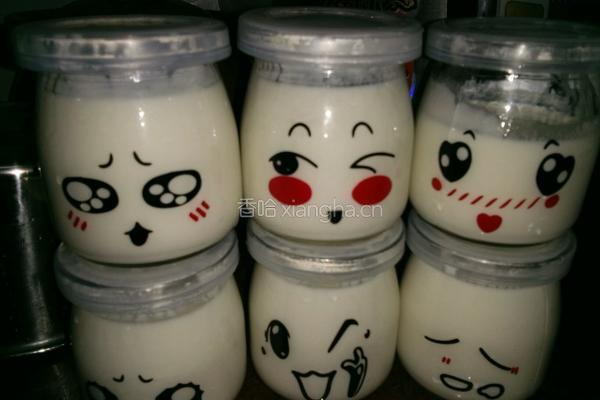 自做酸奶的做法图解5