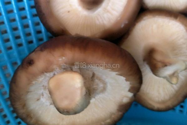 牛肉芹菜香菇抄手的做法图解2