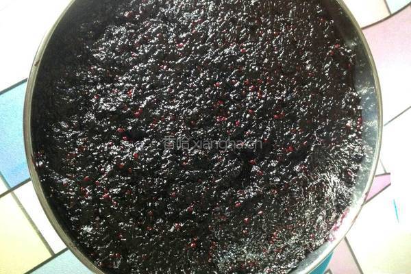 自制桑葚膏的做法图解4