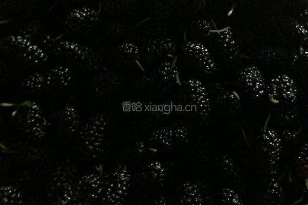 自制桑葚膏的做法图解1