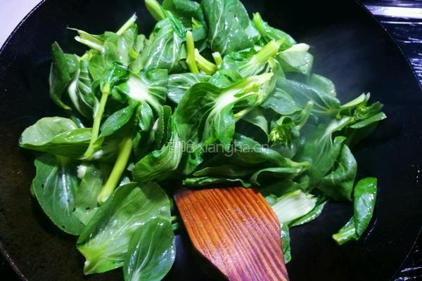 咸鸡肉炒芥菜的做法图解5