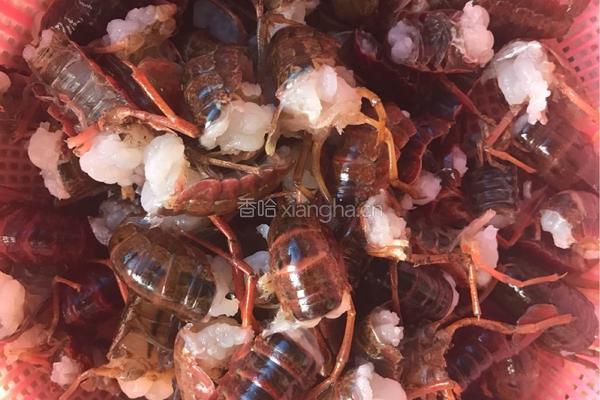 干锅口味虾尾的做法图解1