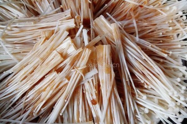 油泼金针菇的做法图解5