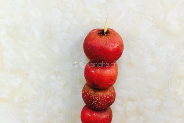 糖葫芦的做法图解3