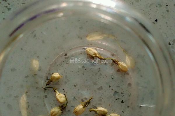 茉莉花茶的做法图解2