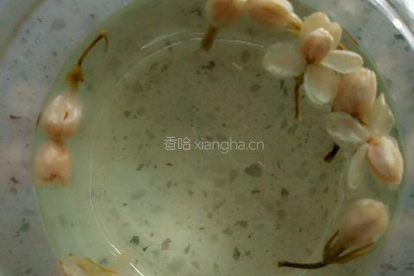 茉莉花茶的做法图解4