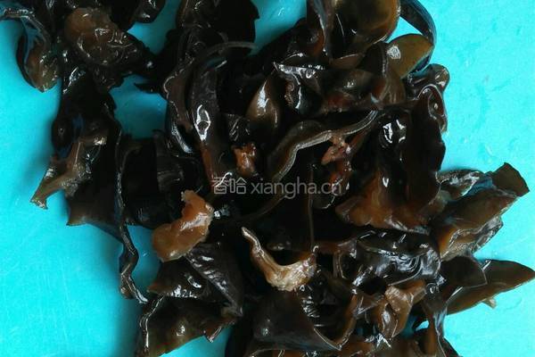 凉拌木耳的做法图解2