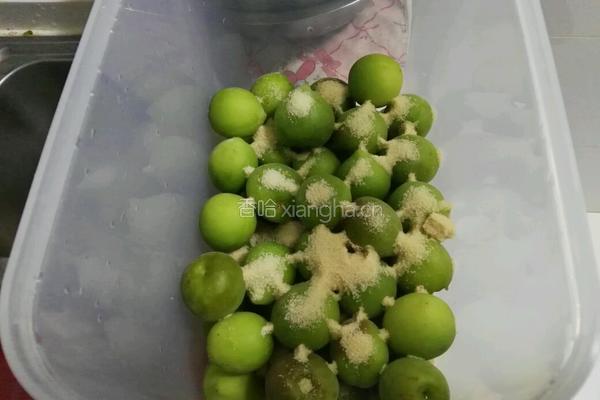 青梅酵素的做法图解4