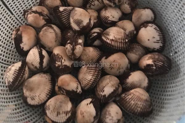 爆炒蛤蜊的做法图解1