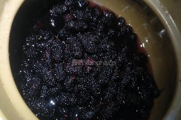 桑椹果汁酱的做法图解3