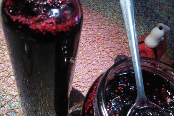 桑椹果汁酱的做法图解12