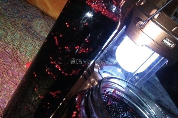 桑椹果汁酱的做法图解13