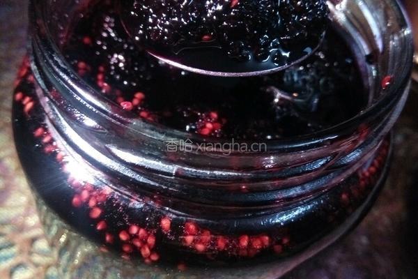 桑椹果汁酱的做法图解17