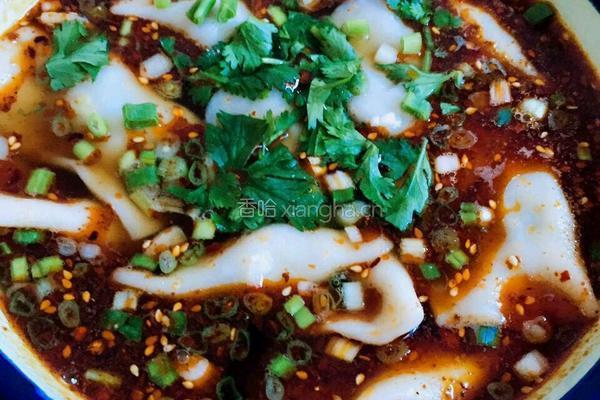 韭菜大肉水饺的做法图解19