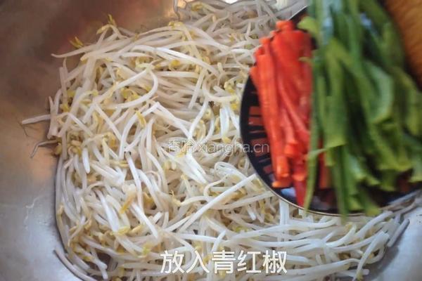 炒绿豆芽的做法图解10