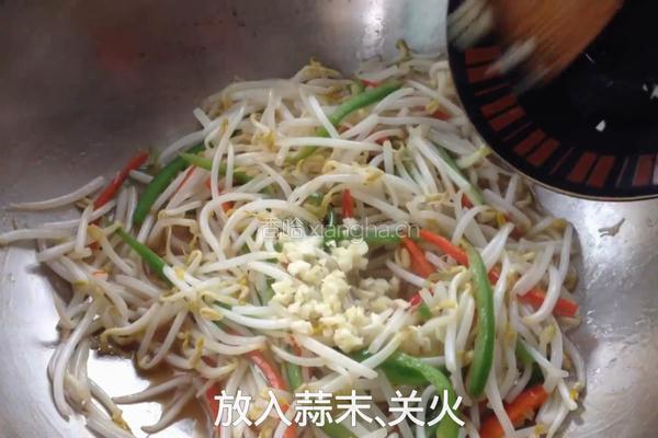 炒绿豆芽的做法图解13