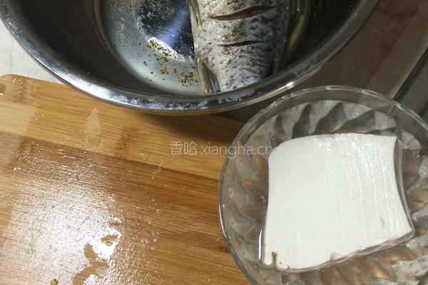 鲫鱼炖豆腐的做法图解1