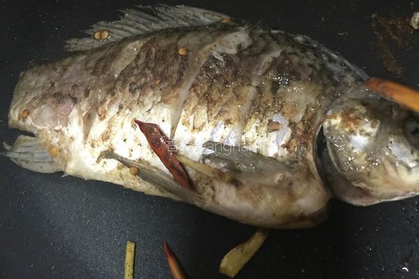 鲫鱼炖豆腐的做法图解3