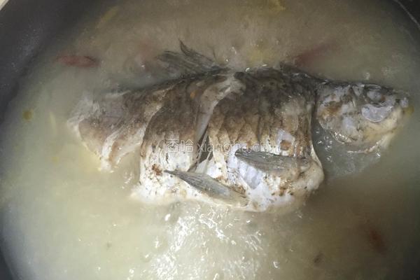 鲫鱼炖豆腐的做法图解4
