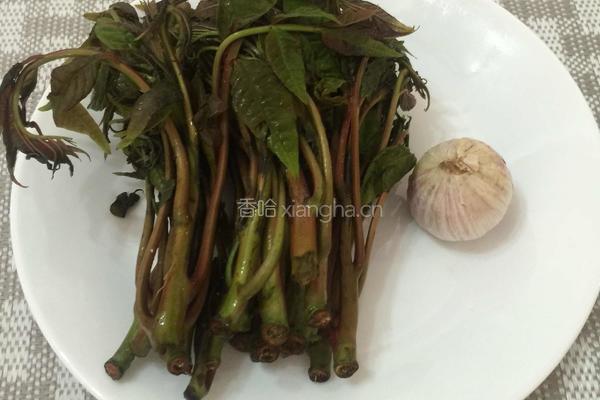 香椿煎鸡蛋的做法图解1