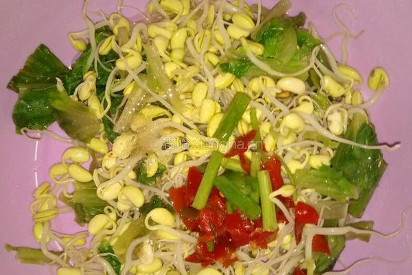 生菜拌豆芽的做法图解7
