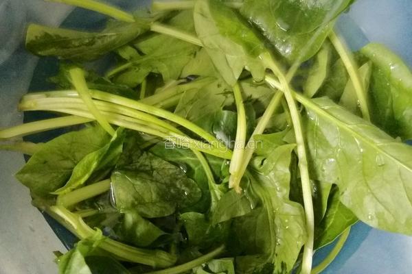 菠菜粉丝汤的做法图解1