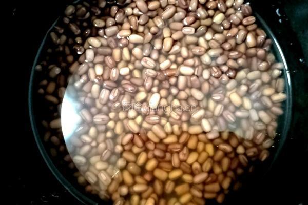 蜜红豆的做法图解4