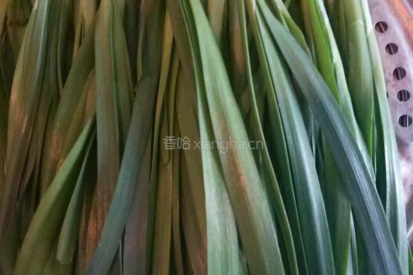 韭菜鸡蛋包子的做法图解1