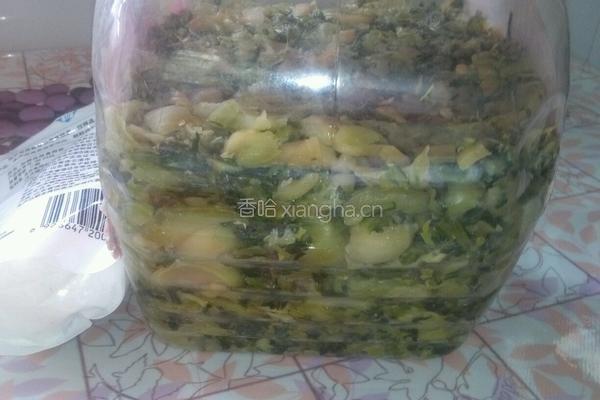 自制咸菜的做法图解8
