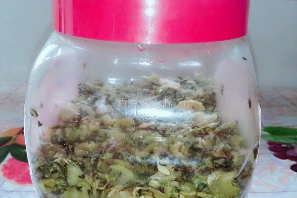 自制咸菜的做法图解11