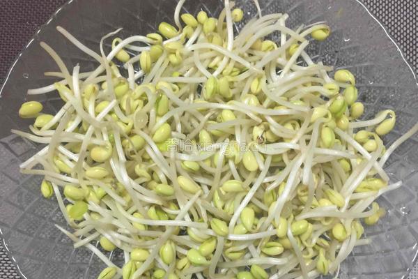 豆芽红烧豆腐的做法图解2
