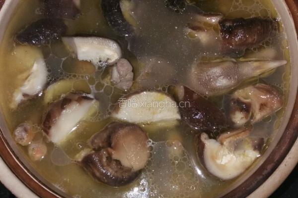 鸽子火腿汤的做法图解5
