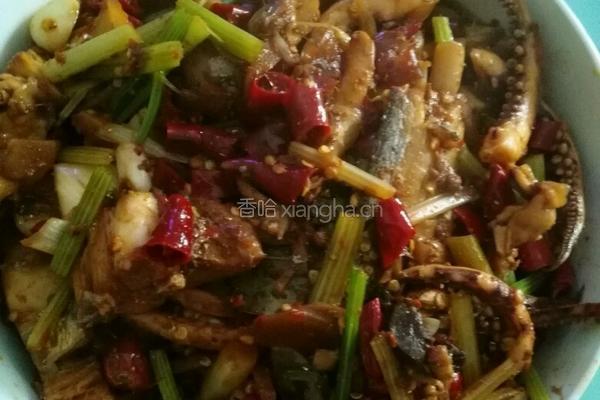 红烧带鱼鱿鱼
