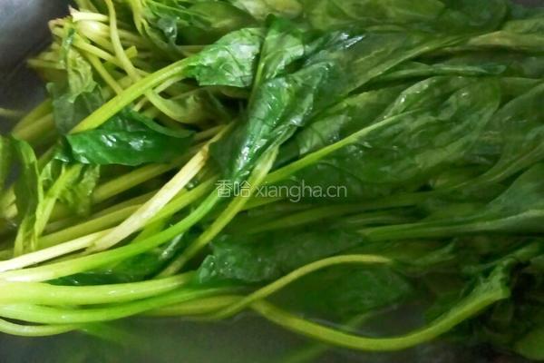 肉丝菠菜的做法图解3