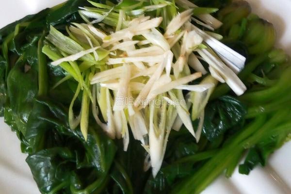肉丝菠菜的做法图解16